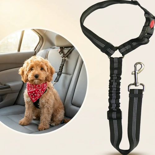 RideLock™ Car Safety Belt
