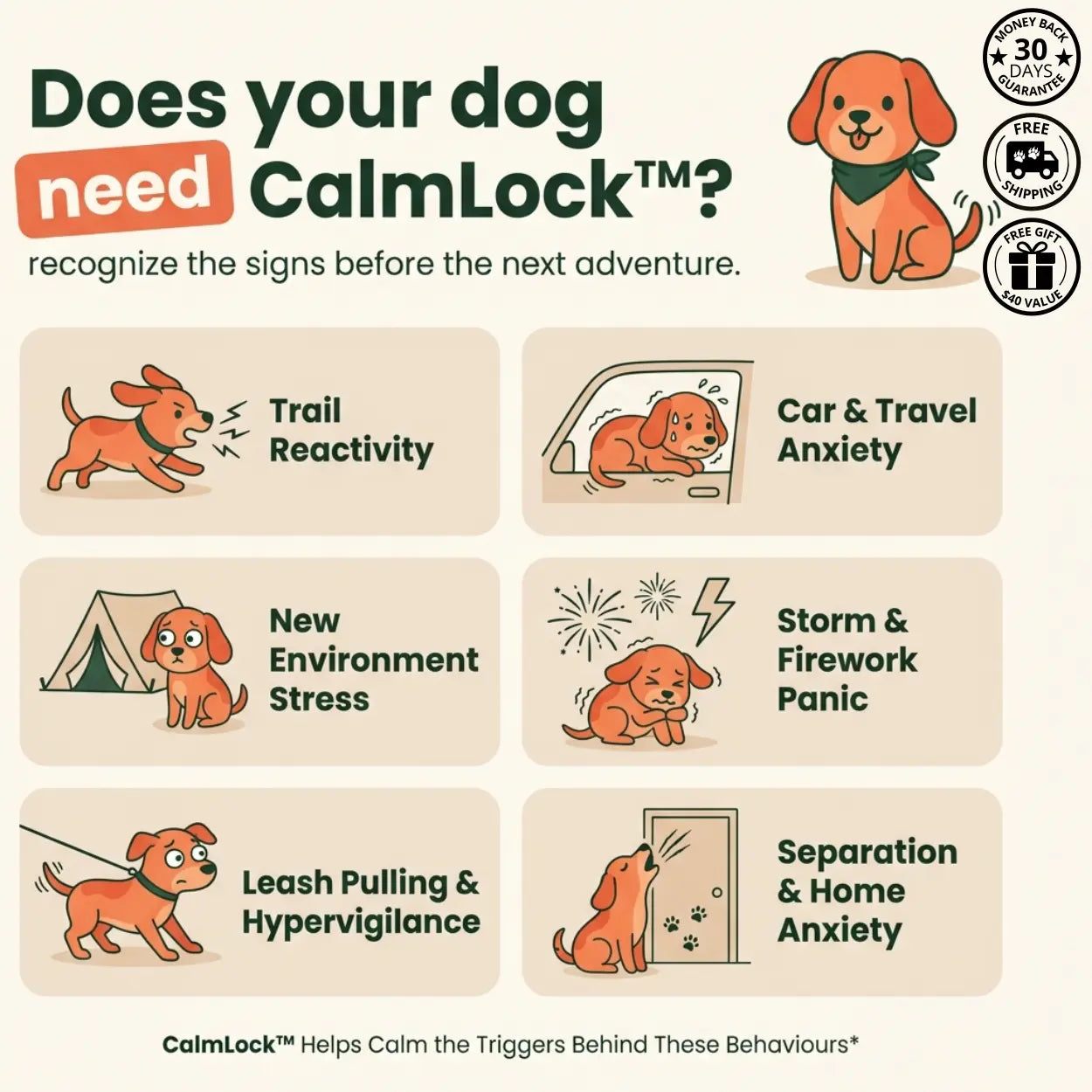 The CalmLock™ System