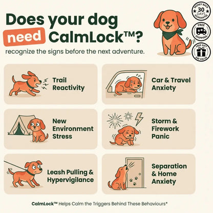 The CalmLock™ System