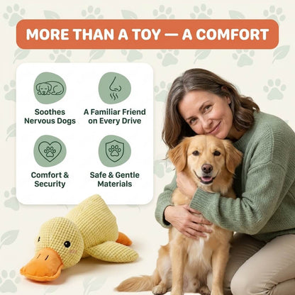 CalmBuddy™