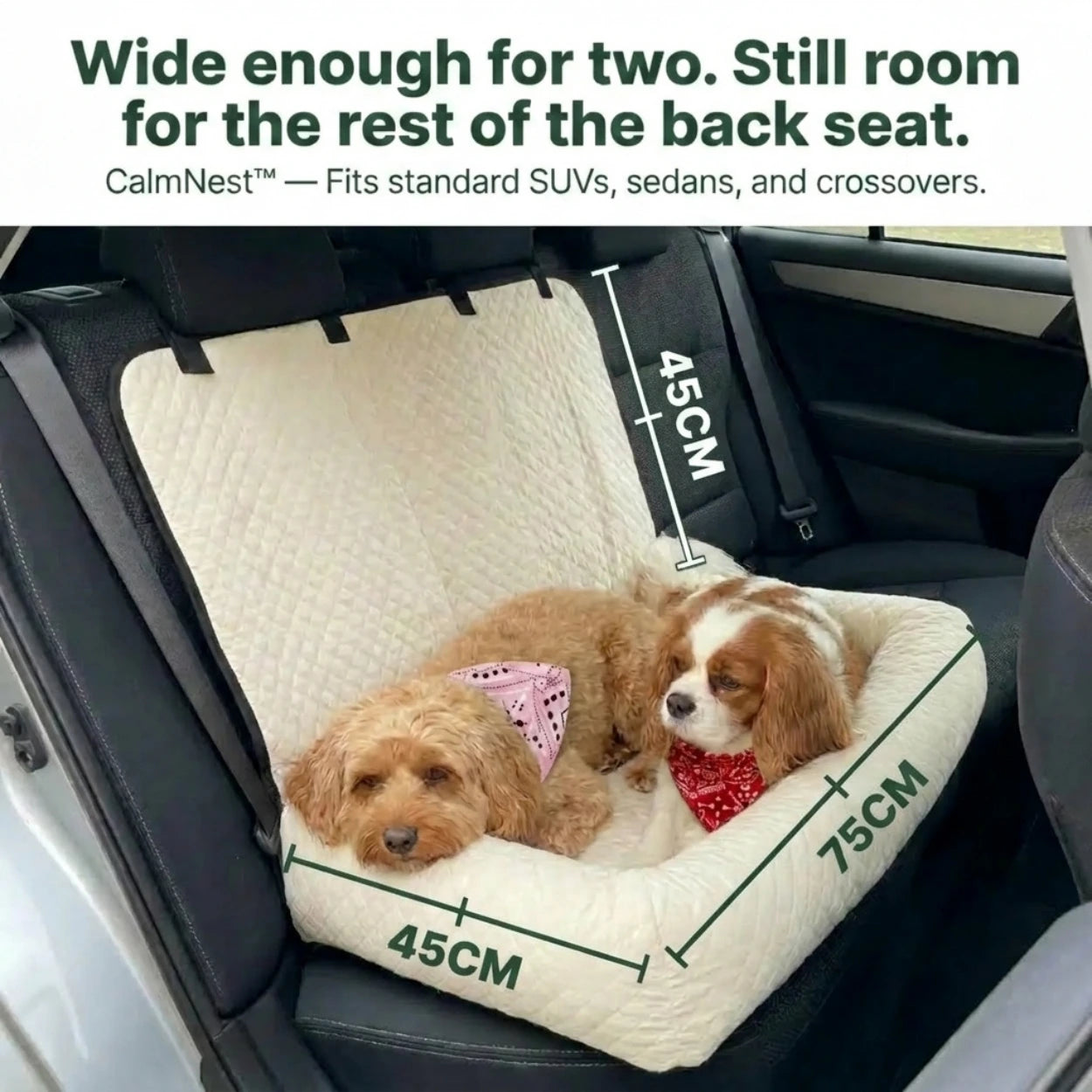 CalmNest™