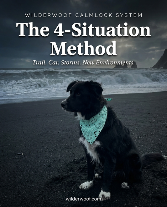 The 4-Situation Method