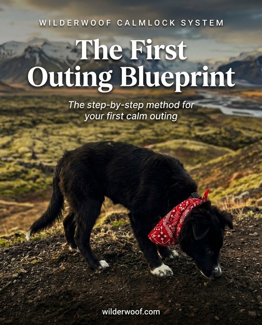 The First Outing Blueprint